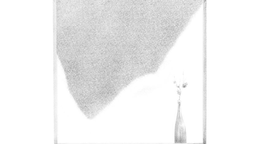 The curtain